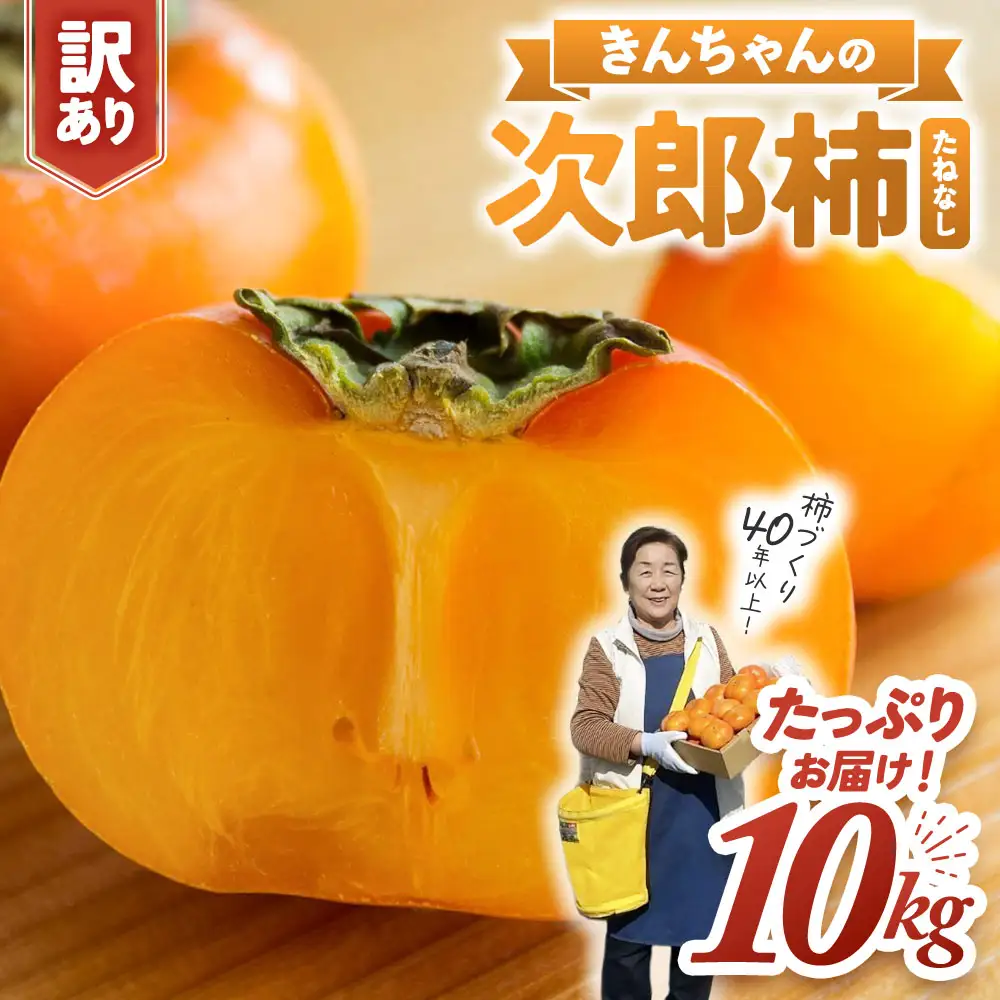 柿【2026年度発送分】きんちゃん農園のたねなし柿(家庭用・訳あり)約10kg【KCN-03】