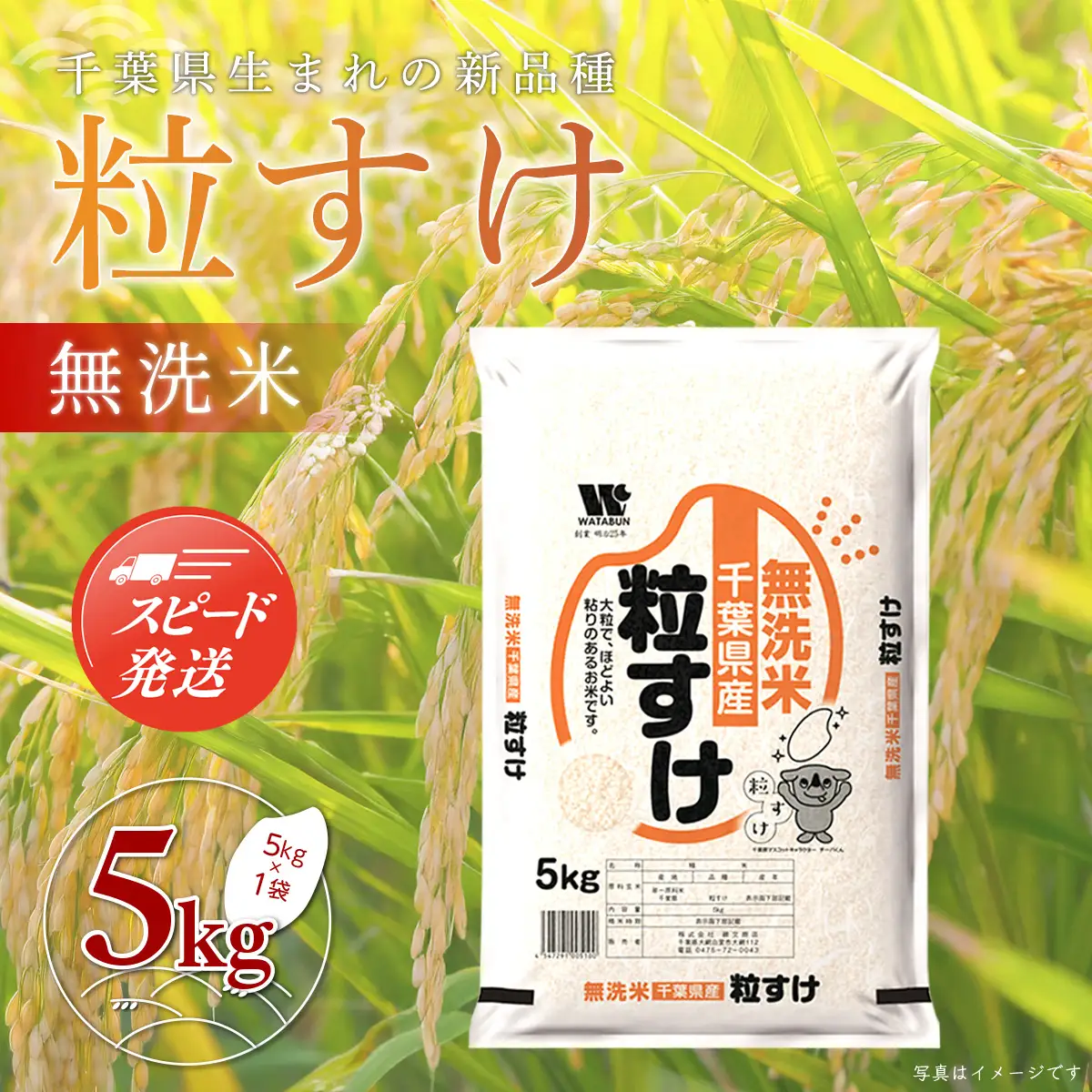 新米 令和8年産 千葉県産「粒すけ」無洗米 5kg（5kg×1袋） A063