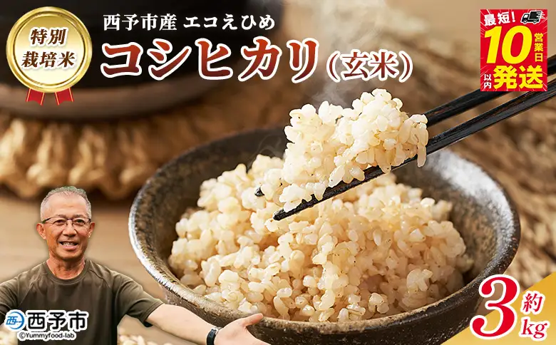 ＜令和7年産 西予市産 特別栽培米 エコえひめ コシヒカリ 玄米 約3kg＞国産 農薬・化学肥料不使用 一等米 3キロ 愛媛県産 こしひかり お米 米 コメ げんまい 産地直送 送料無料 シゲちゃん農園 愛媛県 西予市【常温】『最短10営業日以内に順次発送予定』NSN0002