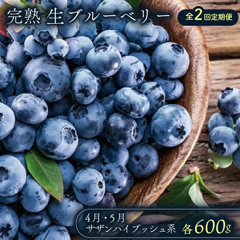 【先行予約】【全2回定期便】完熟生ブルーベリー （サザンハイブッシュ系）各600g（100ｇ×6パック） | フルーツ 果物 ベリー