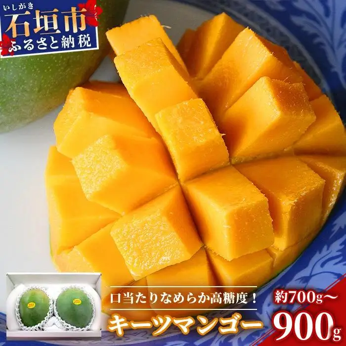 ＜先行予約＞ 沖縄県石垣島産 キーツマンゴー 約700～900g
