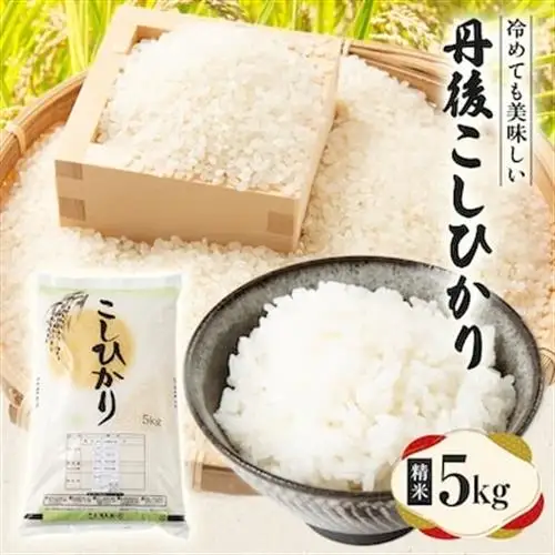 【令和7年産米】京都府与謝野町産 丹後コシヒカリ 精米5kg　もちもちとした食感が特徴のおいしいお米【1686748】