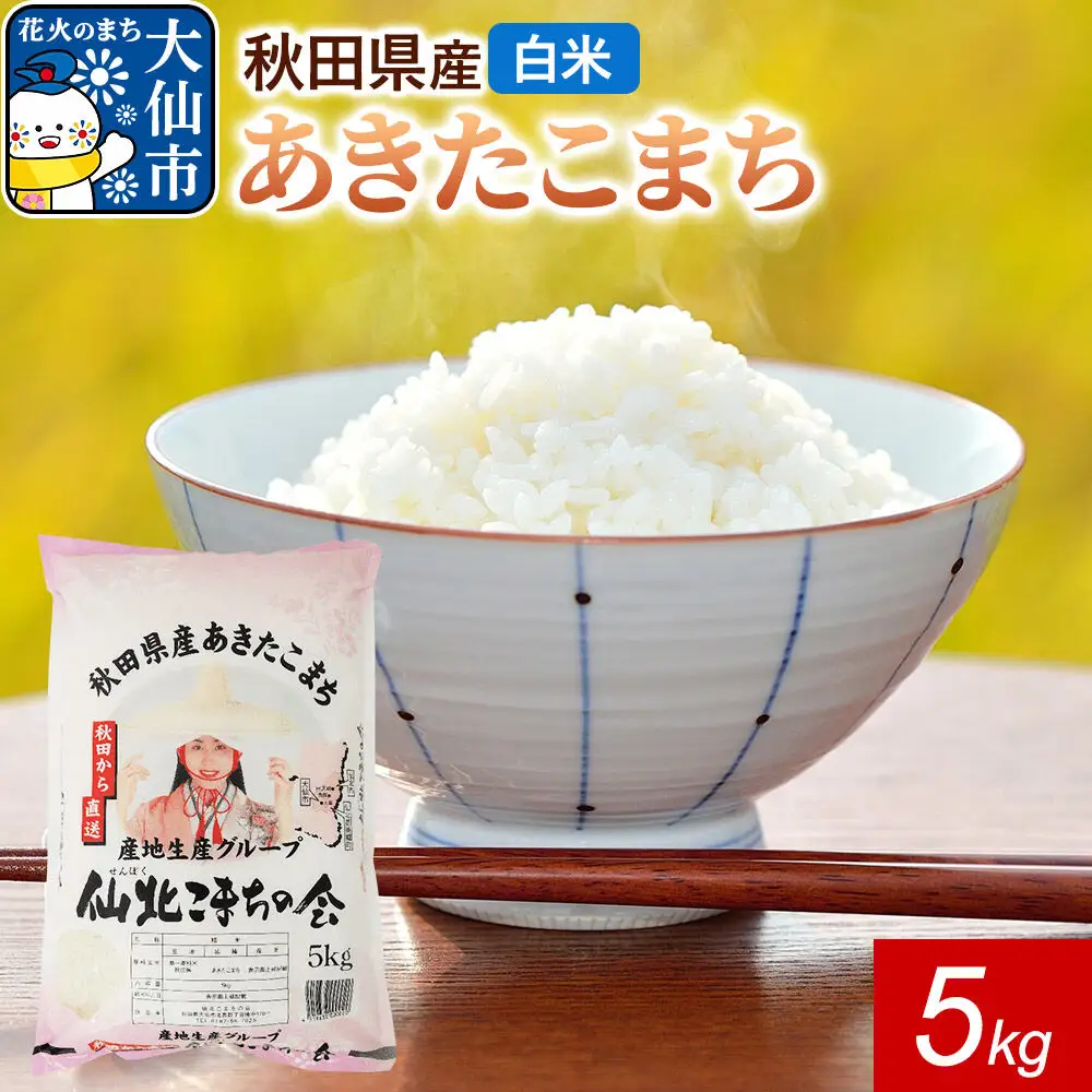 米 あきたこまち 令和7年産【白米】5kg（5kg×1袋）秋田県 大仙市産