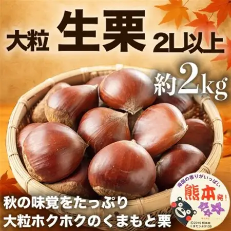 【先行予約】 熊本県産 秋の味覚 旬の生栗 大粒栗  2L以上 約2kg (益城町)【配送不可地域：離島】【1687206】