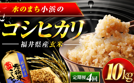 【4回定期便/3ヶ月に1回】 福井県産 コシヒカリ 玄米 10kg 一等級 /甘みと粘りが自慢 王道米 こしひかり 小浜市 / 若狭ふれいあい市場[BFEL015]