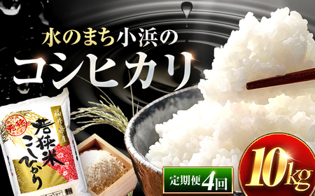 【4回定期便/3ヶ月に1回】 福井県産 コシヒカリ 精米 (白米) 10kg 一等級　福井県米 /甘みと粘りが際立つ 王道米 こしひかり 小浜市 / 若狭ふれあい市場[BFEL032]