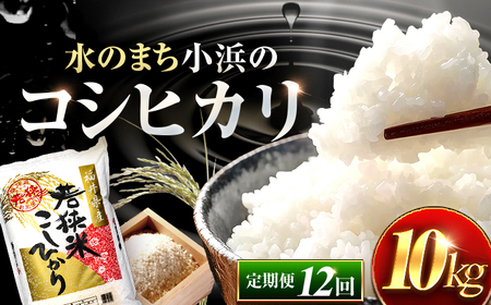 【12回定期便】 福井県産 コシヒカリ 精米 (白米) 10kg 一等級　福井県米 /甘みと粘りが際立つ 王道米 こしひかり 小浜市 / 若狭ふれあい市場[BFEL034]