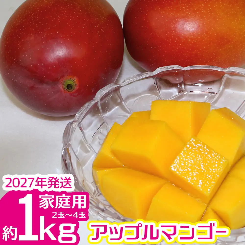 【2027年発送】ご家庭で美味しく！アップルマンゴー約1kg（2玉～4玉）【つは農園】