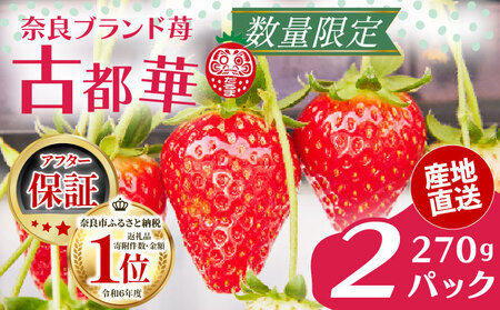 いちご【2027年1月～発送予定】大ちゃんの古都華 270g×2パック drm002