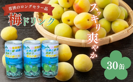 うめ 梅ドリンク 1ケース30缶 大容量 ジュース うめ