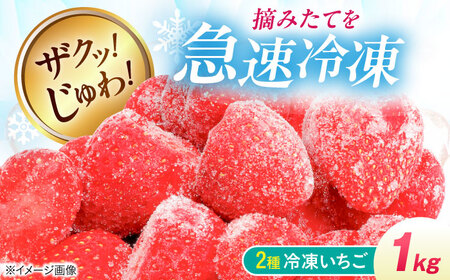 冷凍いちご 1kg（紅ほっぺ・かおり野） 滋賀県長浜市/株式会社みつなりのさと[AQBT013]