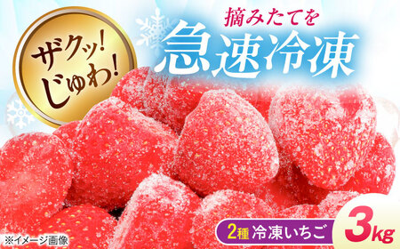 冷凍いちご 3kg （紅ほっぺ・かおり野1kg×3P） 滋賀県長浜市/株式会社みつなりのさと[AQBT014]