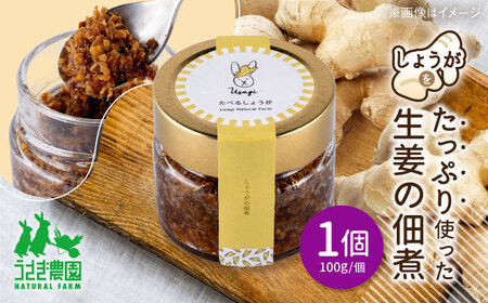 食べる生姜 しょうがの佃煮 (100g×1個)【うさぎ農園】[AYDJ001]