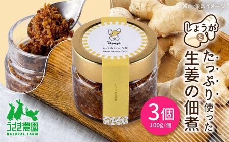 食べる生姜 しょうがの佃煮 3個セット (100g×3個)【うさぎ農園】[AYDJ002]
