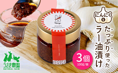 にん辛 にんにくのラー油漬け 3個セット (100g×3個)【うさぎ農園】[AYDJ004]