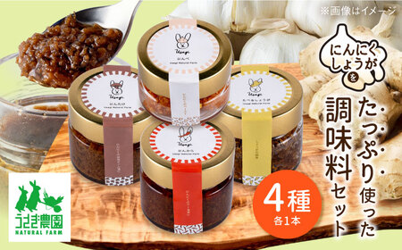 調味料 4種 詰合せセット（しょうがの佃煮・にんにくのラー油漬け・にんにくの旨味オイル漬け・にんにくのペースト）【うさぎ農園】[AYDJ009]