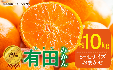 【2027年1月発送】秀品 有田みかん 和歌山県産 S～Lサイズ 大きさお任せ  約10kg_DZ6200_01