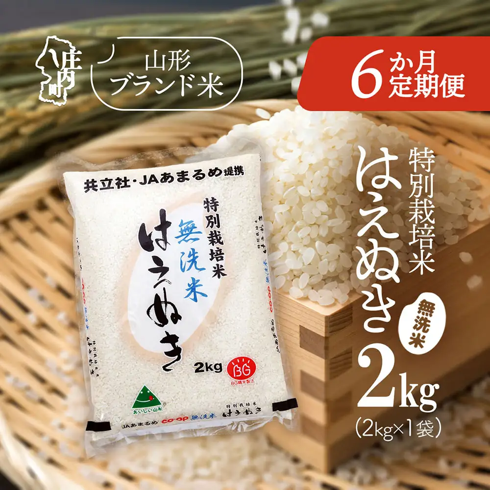 【6か月定期便】庄内米 特別栽培米 はえぬき 無洗米 2kg 毎月 2kg×1袋 令和7年産 / 令和8年産 余目産 あまるめ ブランド米 米 山形 庄内平野 亀の尾発祥の地 庄内 お米の定期便【8月中旬発送/入金期限：2026年7月25日】