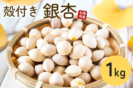 石岡市産　殻付き銀杏　500g×2袋 ぎんなん 銀杏 国産 茨城県 石岡市 B03-007