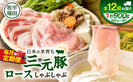 【 全12回 毎月 定期便 】 日本 の 米育ち 平田牧場 三元豚 ロース しゃぶしゃぶ T036-T01-03 肉 豚肉