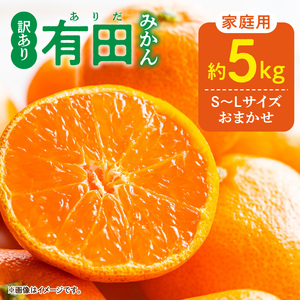 【2027年1月発送】ご家庭用 有田みかん 和歌山県産 S～Lサイズ 大きさお任せ 約5kg_DZ6202_01