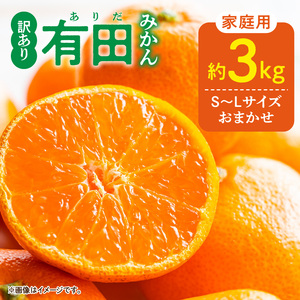 【2026年12月発送】ご家庭用 有田みかん 和歌山県産  S～Lサイズ 大きさお任せ 約3kg_DZ6203_12