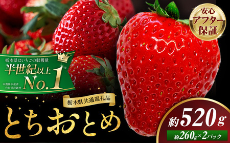 栃木いちごとちおとめ2パック