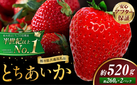 栃木いちごとちあいか2パック