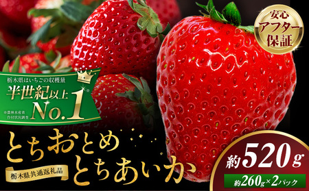 栃木いちご食べ比べとちおとめ+とちあいか2パック