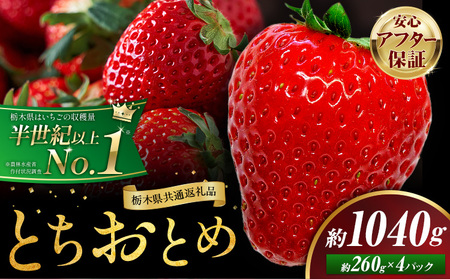 栃木いちごとちおとめ4パック