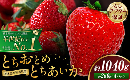 栃木いちご食べ比べとちおとめ+とちあいか4パック