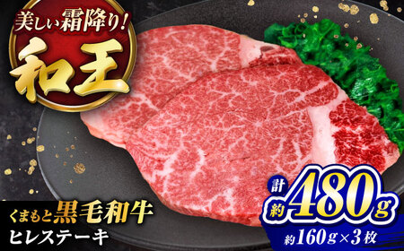 くまもと黒毛和牛 ｢和王｣ ヒレステーキ 計約480g (約160g×3枚) / 牛肉 和王 黒毛和牛 肉 ヒレ ひれ 希少部位 熊本県 菊陽町【菊池地域農業協同組合】[BHBQ016]