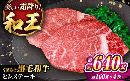 くまもと黒毛和牛 ｢和王｣ ヒレステーキ 計約640g (約160g×4枚) / 牛肉 和王 黒毛和牛 肉 ヒレ ひれ 希少部位 熊本県 菊陽町【菊池地域農業協同組合】[BHBQ017]