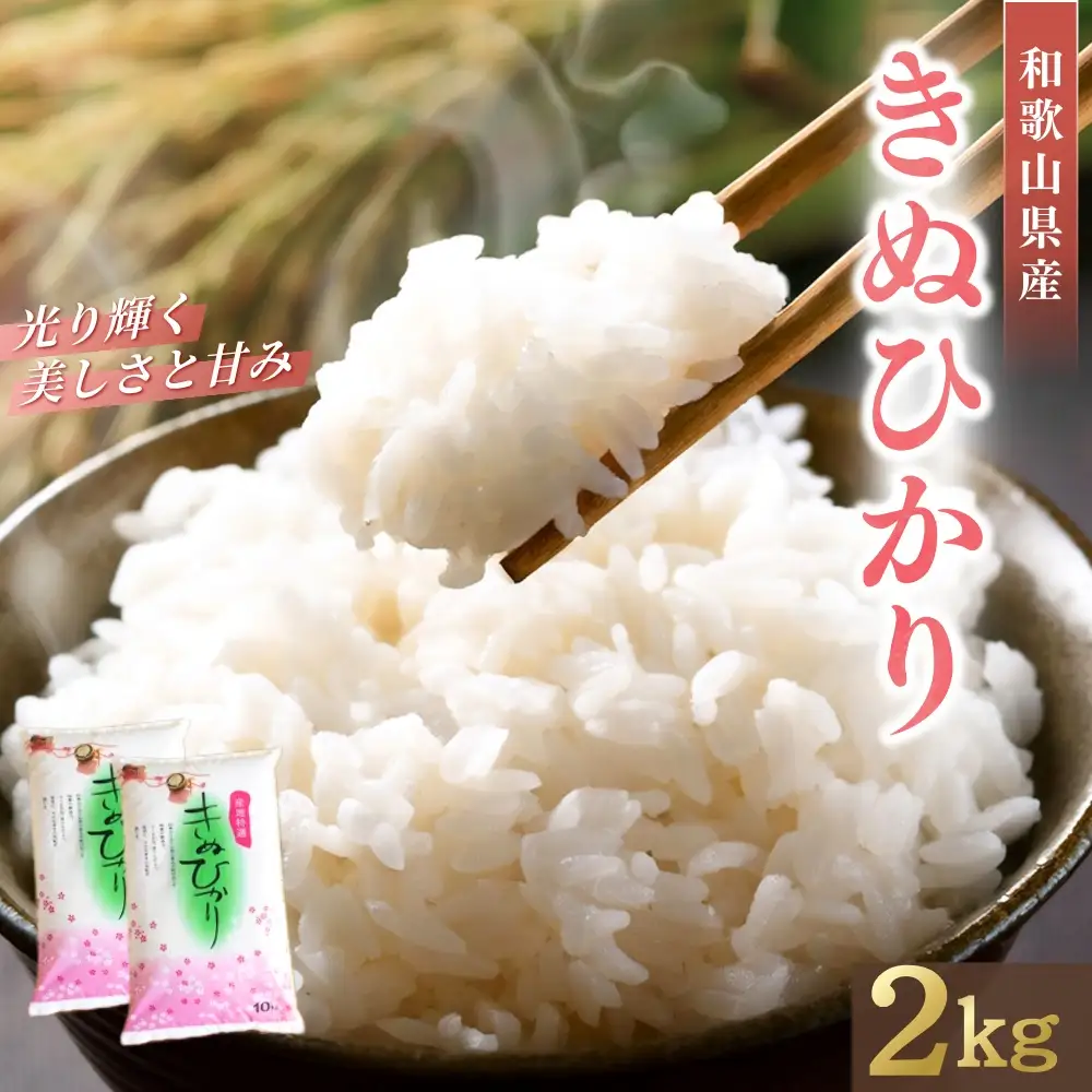 和歌山県産 キヌヒカリ 2kg（2025年産） / お米 きぬひかり 白米 令和7年 人気 おすすめ ※2025年9月中旬より順次発送予定【sml138】 