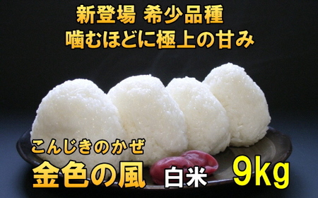 新登場の高級米 令和7年産 岩手県奥州市産 金色の風 白米9kg [AC029]