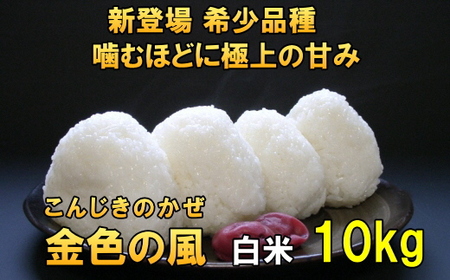 新登場の高級米 令和7年産 岩手県奥州市産 金色の風 白米10kg [AC030]