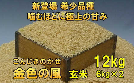 新登場の高級米 令和7年産  岩手県奥州市産 金色の風 玄米12kg [AC031]