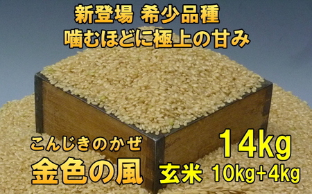 新登場の高級米 令和7年産 岩手県奥州市産 金色の風 玄米14kg [AC032]