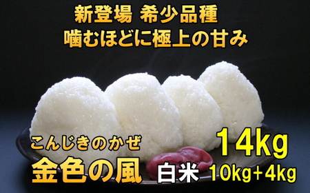 新登場の高級米 令和7年産 岩手県奥州市産 金色の風 白米14kg [AC032]