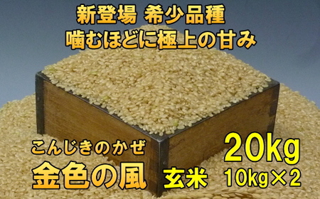 新登場の高級米 令和7年産 岩手県奥州市産 金色の風 玄米20kg [AC034]