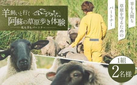 【 体験期間 6月1日ー9月30日 】 羊 飼いと行く 阿蘇 の草原歩き 体験 「私も 羊 も パートナー 」 2名様1組 ペア体験 動物 羊 熊本県 自然 チケット 観光 レジャー