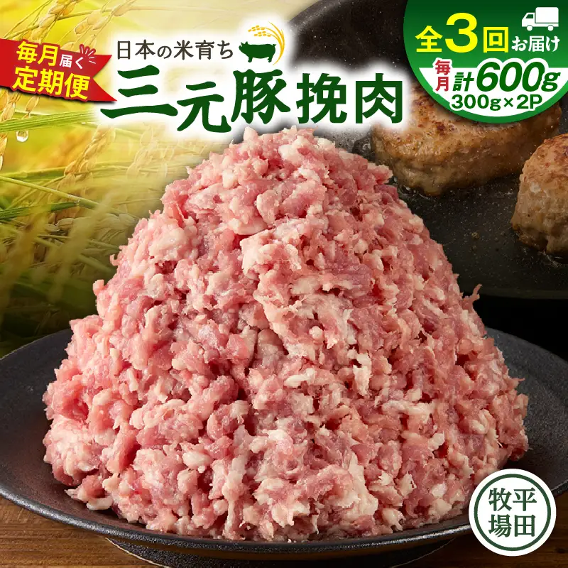 【 全3回 毎月 定期便 】 日本 の 米育ち 平田牧場 三元豚 ひき肉 600g T036-T12-01 肉 豚肉