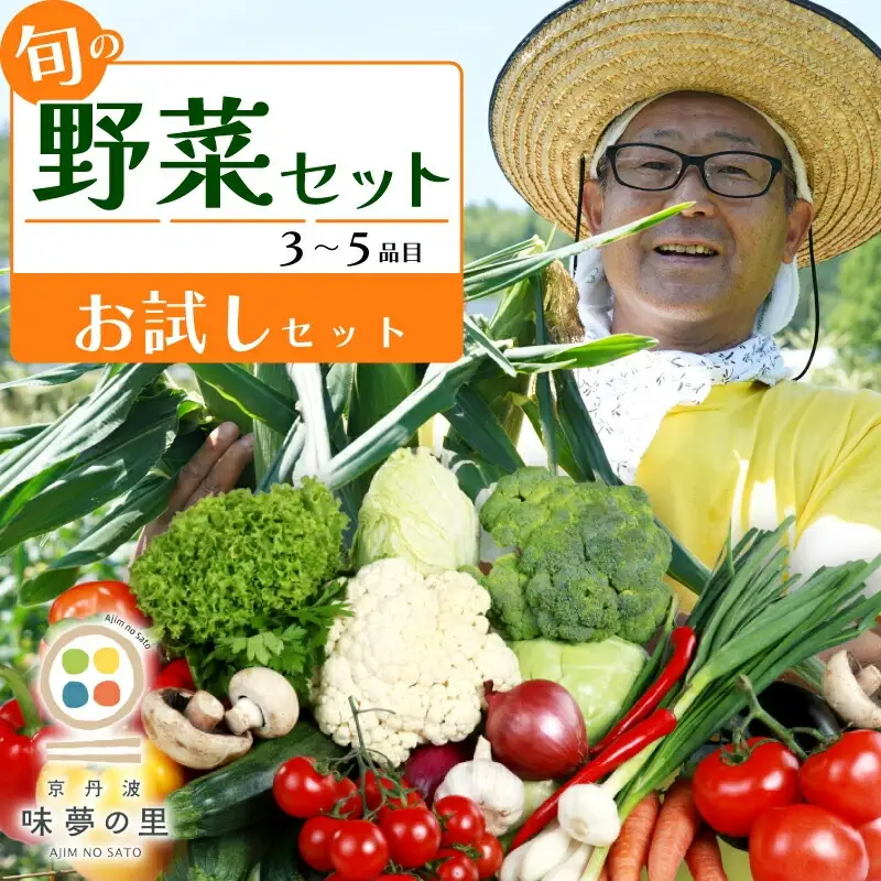 道の駅京丹波味夢の里 『旬のお野菜』 お試しセット 野菜詰め合わせ 3~5種類
