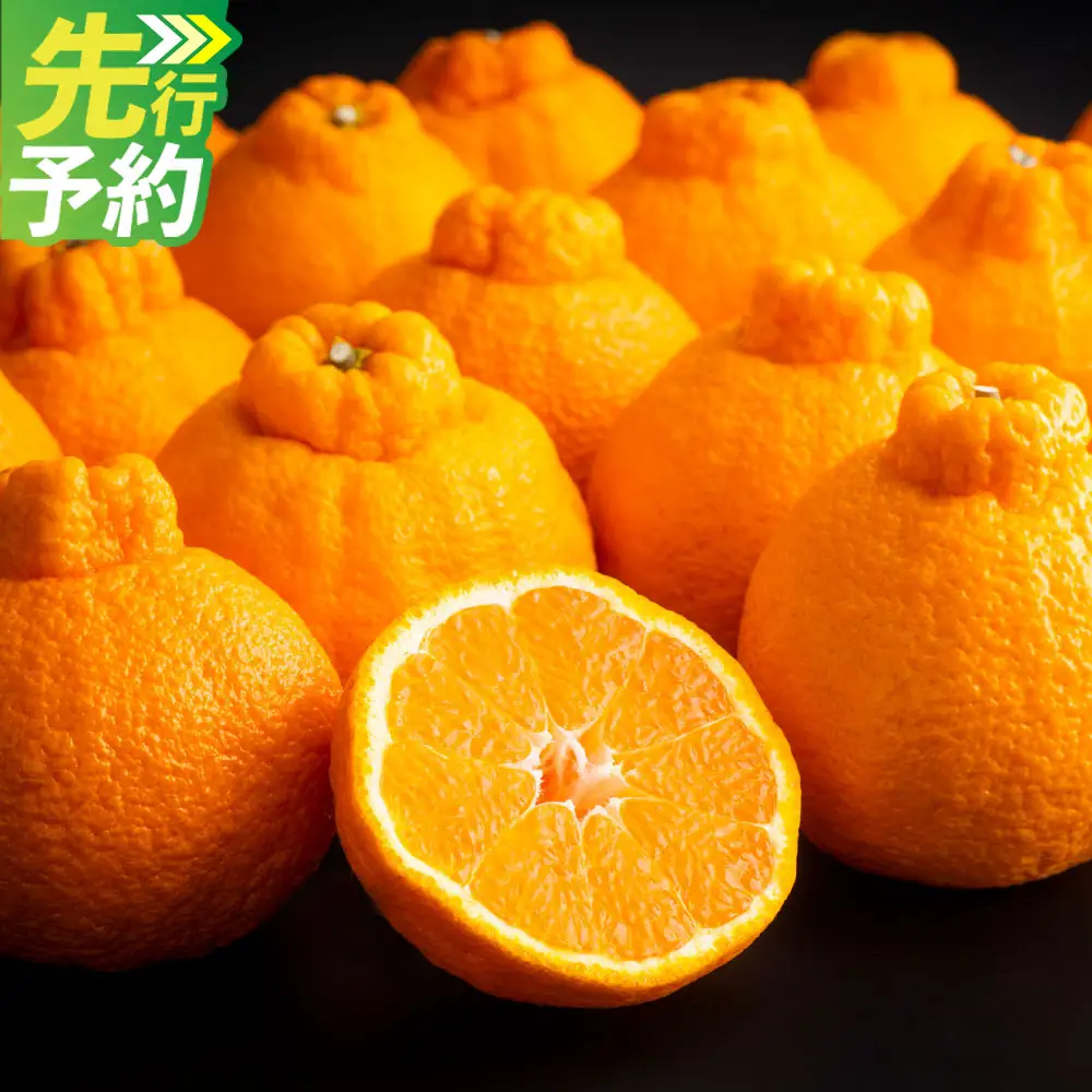 ＜ R8年熊本地震復興支援 ＞熊本県産 デコポン 5kg 【2027年3月上旬～4月上旬迄順次発送予定】 みかん ミカン 蜜柑 くだもの 果物 柑橘 フルーツ 国産