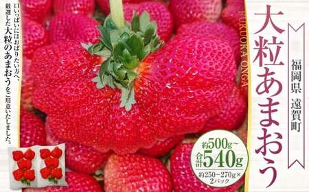 大粒あまおう 約250～270g × 2パック （合計 ： 約500～540g） 【2027年2月上旬～4月下旬発送予定】 あまおう いちご イチゴ 苺 果物 くだもの フルーツ 福岡県産 国産 福岡県 遠賀町 冷蔵