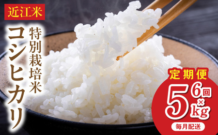 【令和8年度産】 先行予約 近江米『コシヒカリ』　特別栽培米　5キロ×6回定期便（鮮度保持袋） DT-0001T