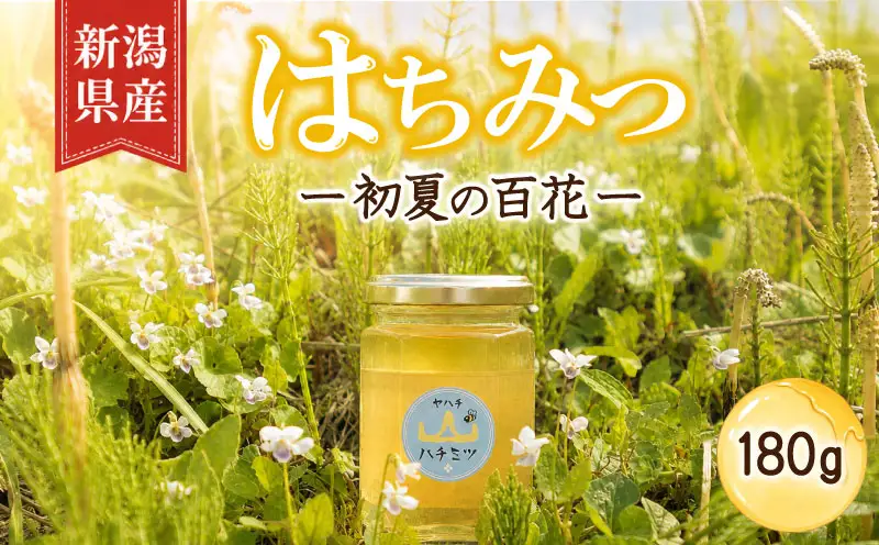 はちみつ 国産 180g 瓶 初夏の百花 セイヨウミツバチ 百花 蜂蜜 ハニー 純粋はちみつ 防災グッズ 保存 備蓄 防災食 非常食 保存食 弥八養蜂 新潟県 新発田市 yahachi001_01