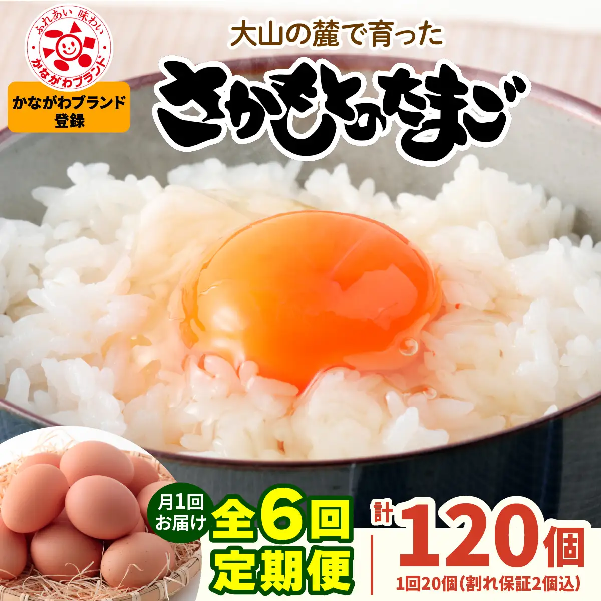 [定期便／6ヶ月×月1回] さかもとのたまご 20個 (18個＋割れ保証2個) 合計120個 [1126]