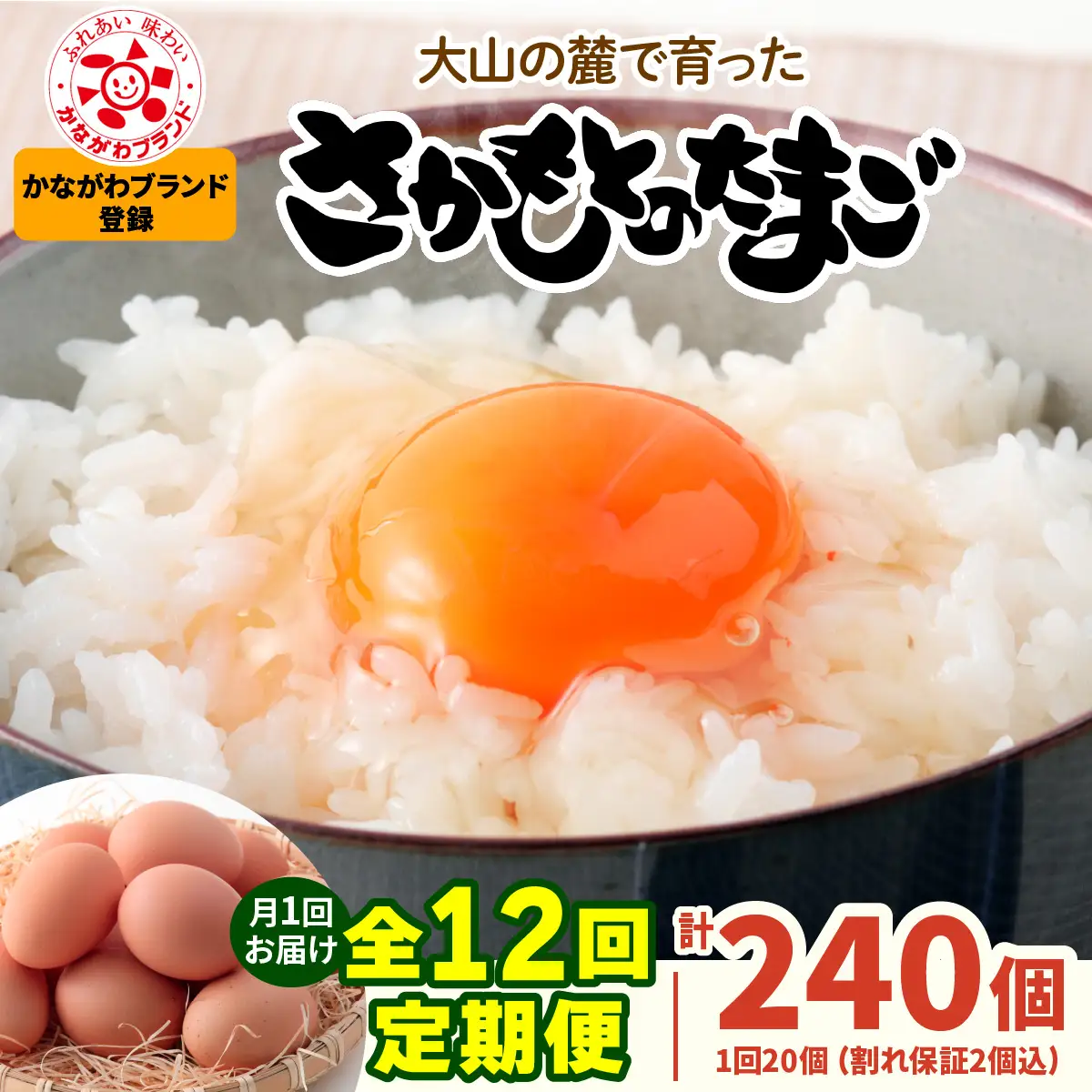 [定期便／12ヶ月×月1回] さかもとのたまご 20個 (18個＋割れ保証2個) 合計240個 [1127]