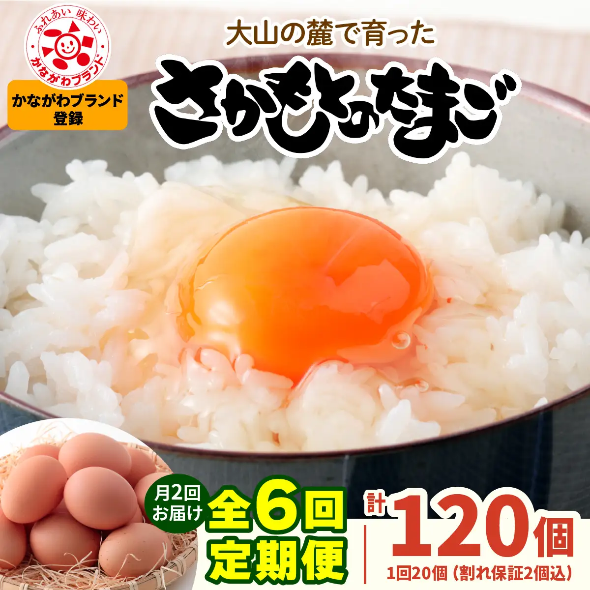 [定期便／3ヶ月×月2回 (全6回)] さかもとのたまご 20個 (18個＋割れ保証2個) 合計120個 [1128]